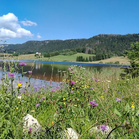 Accommodatie bij particulieren Chez Laurence Bellefontaine (Jura)
